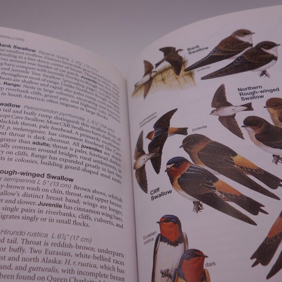 National Geographic Field Guide to the Birds of North America ISBN 0-7992-6877-6 - Picture 12 of 16